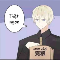 Au suốt ngày ăn cơm chó