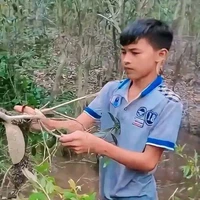 Lê Trung Thật