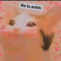 Tác giả cute 