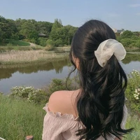 Jung Ami