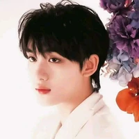 Đinh Trình Hâm