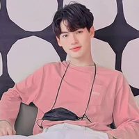 winmetawin