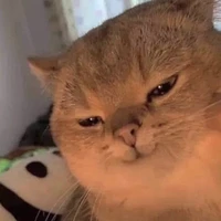 Tác Giả❤💵😔