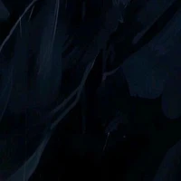 Bí ẩn 🤫