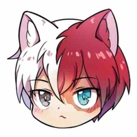Shoto todoroki 