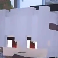 BAN