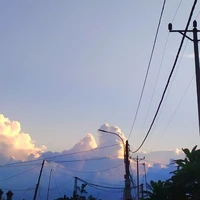 All