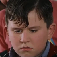 Dudley Dursley