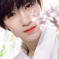 Hạ Tuấn Lâm(Anh)