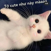 TG ngáo