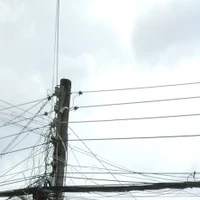 Mọi người