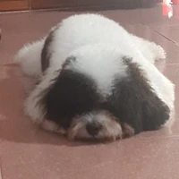 Bảo Vệ