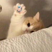 LingLing - tác giả đây