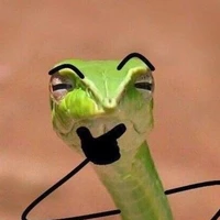 Kobayashi Tsuki ( T/g )