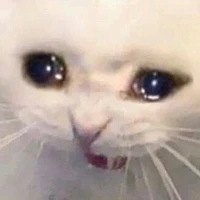 Tác giả cutii
