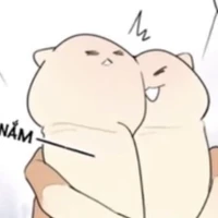 Tacgiaᥫᩣ