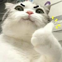 bé t/g cute