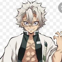 Shinazugawa sanemi ( phong trụ )