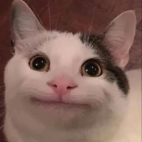 Hệ thống Đẳng