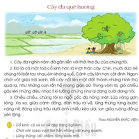 văn cộ