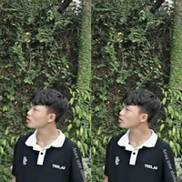 tnha