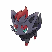 Zoroa_kuro_(same)