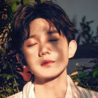 vương Nguyên " anh "