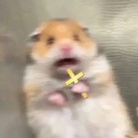 T/G