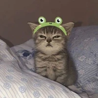 Ran\con hệ thống+tác giả\