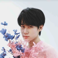 Trương Chân Nguyên