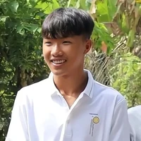 Phạm Đình Hòa (Phạm tổng)