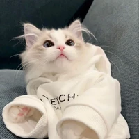 Con tác giả thỉu nen