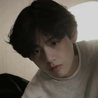 Kim Taehyung(Chồng tác giả)