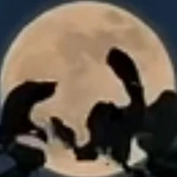 cô hàng xóm 