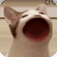 Tác giả đẹp trai