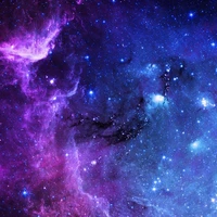 All(- những người cần trừ)