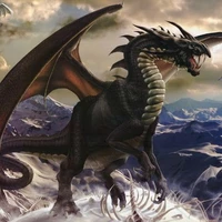Black Dragon