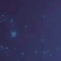 Diêm Vương
