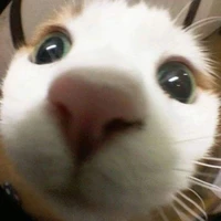 người dẫn truyện