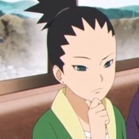Nara Shikadai