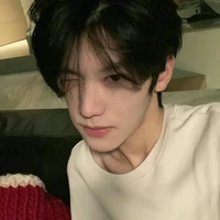 Nguyễn Hoàng Sư Tử