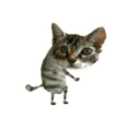 tác giả bị thiểu năng