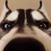 Tác giả quyền lực