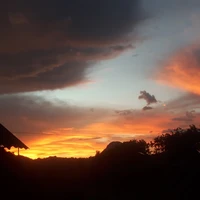 Cánh Cụt