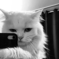 nhóm cô