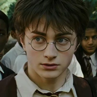 Harry pottery