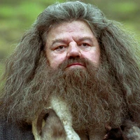 Rubeus Hagrid