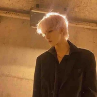 Triệu Hoàng Song Tử_@gem.gem