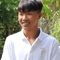 Phạm Đình Hòa (Phạm tổng)