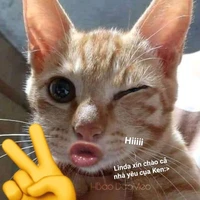 ngôn nhất Ken😏